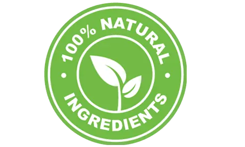 Vital Boost XL 100 Percent Natural Blood Sugar Support Formula